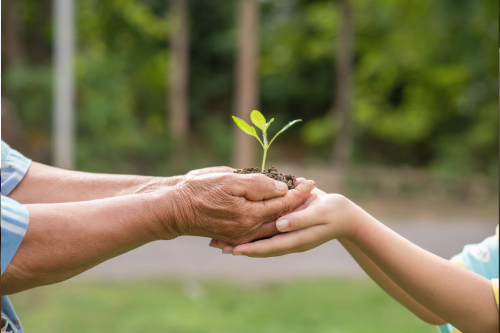 Eco-Friendliness